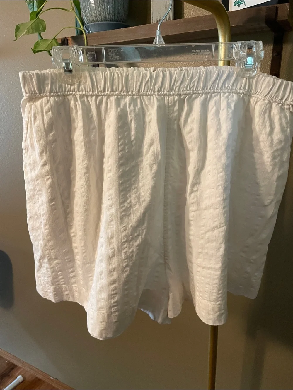 NWT *Current* Free People Indie Shirt set